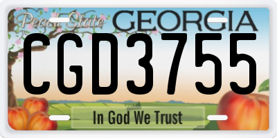 GA license plate CGD3755