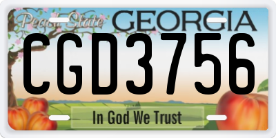 GA license plate CGD3756