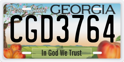 GA license plate CGD3764