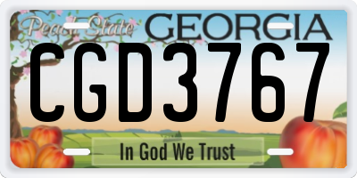GA license plate CGD3767
