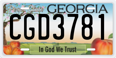 GA license plate CGD3781