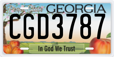 GA license plate CGD3787