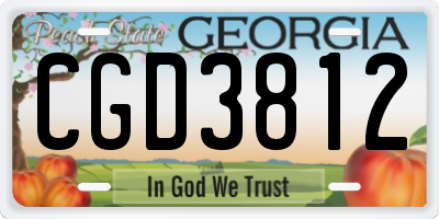 GA license plate CGD3812