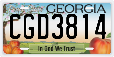 GA license plate CGD3814