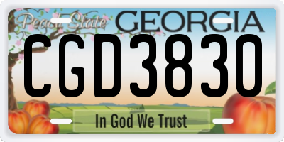 GA license plate CGD3830