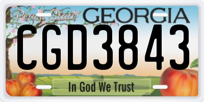 GA license plate CGD3843