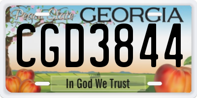 GA license plate CGD3844