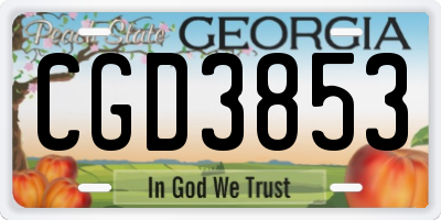 GA license plate CGD3853
