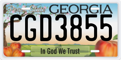 GA license plate CGD3855