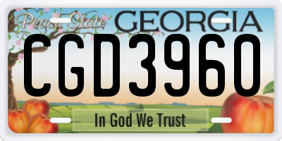 GA license plate CGD3960