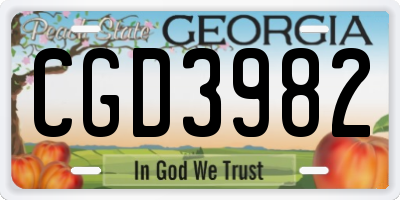 GA license plate CGD3982