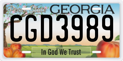 GA license plate CGD3989