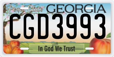 GA license plate CGD3993