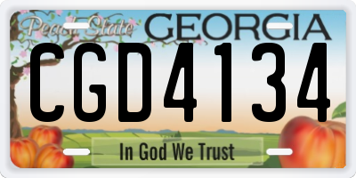 GA license plate CGD4134