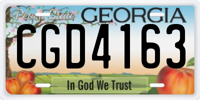 GA license plate CGD4163