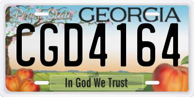 GA license plate CGD4164