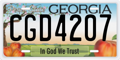 GA license plate CGD4207