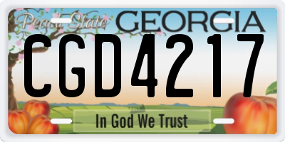 GA license plate CGD4217