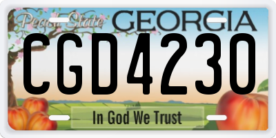 GA license plate CGD4230