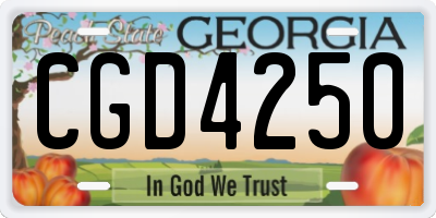 GA license plate CGD4250