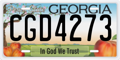 GA license plate CGD4273