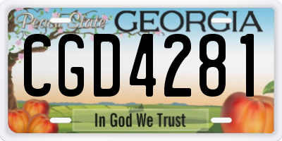 GA license plate CGD4281