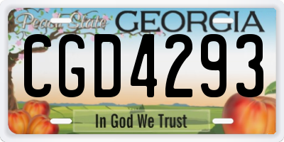 GA license plate CGD4293