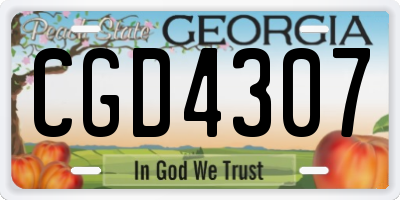 GA license plate CGD4307