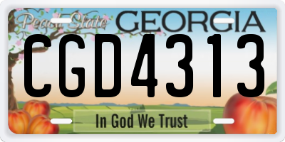 GA license plate CGD4313