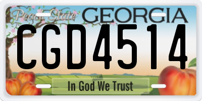 GA license plate CGD4514