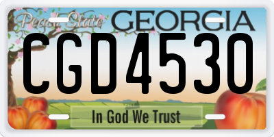 GA license plate CGD4530