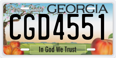 GA license plate CGD4551