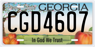 GA license plate CGD4607
