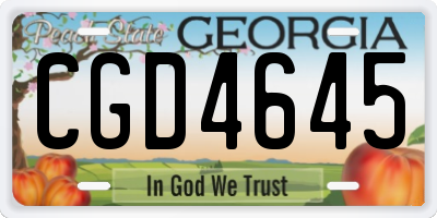 GA license plate CGD4645