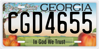 GA license plate CGD4655