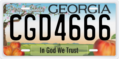 GA license plate CGD4666