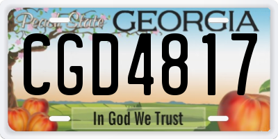 GA license plate CGD4817