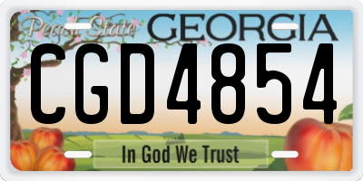 GA license plate CGD4854