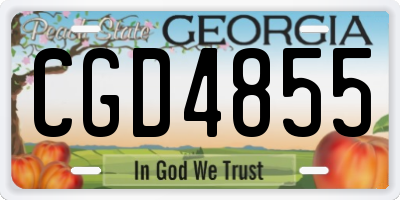 GA license plate CGD4855