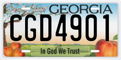 GA license plate CGD4901
