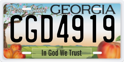 GA license plate CGD4919