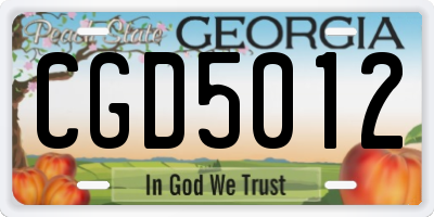 GA license plate CGD5012