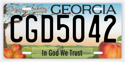GA license plate CGD5042