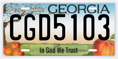 GA license plate CGD5103