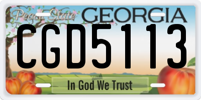 GA license plate CGD5113