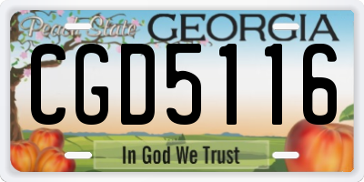 GA license plate CGD5116