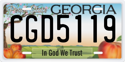 GA license plate CGD5119
