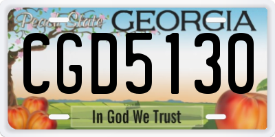 GA license plate CGD5130