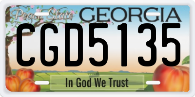 GA license plate CGD5135