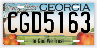 GA license plate CGD5163